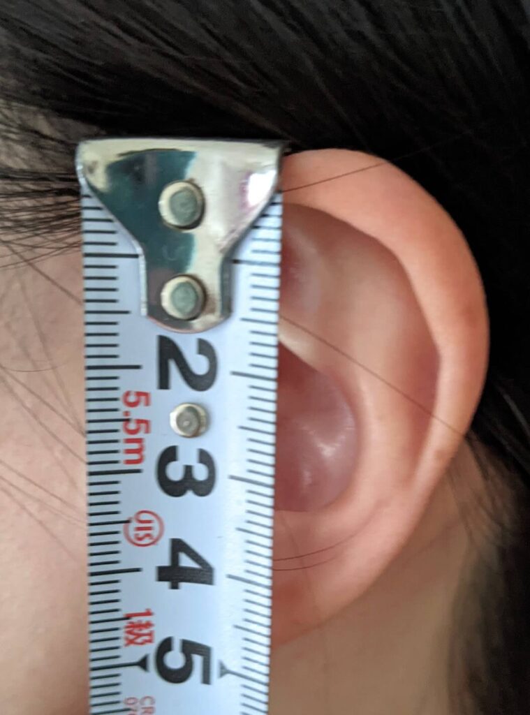耳長　5cm　女性
